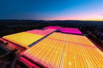 Прикрепленное изображение: tcbelogorsk.jpg